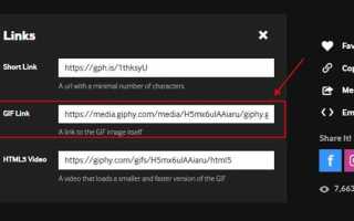 Как вставить гифки в html