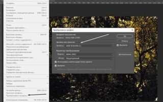 Где хранятся профили lightroom