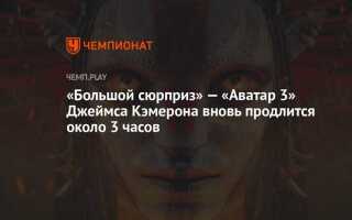 Когда выйдет html 6