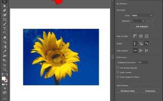 Как вставить картинку в adobe illustrator