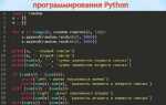 Как понять язык программирования python