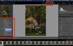 Где находятся пресеты lightroom windows 10