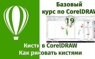 Как рисовать в corel painter