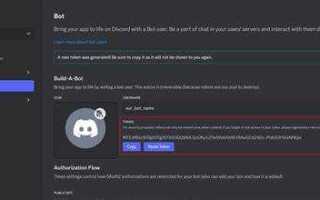 Как получить значок разработчика бота discord