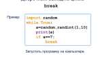 Как выйти из цикла while python