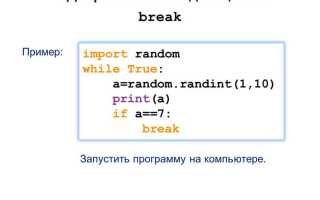 Как выйти из цикла while python