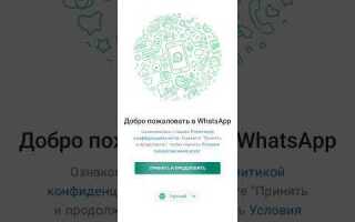 Почему сегодня висит whatsapp
