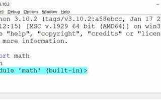Как добавить задержку в python
