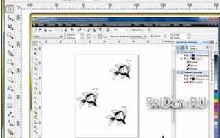 Как добавить направляющую в coreldraw