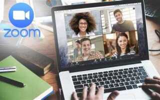 Как пользоваться zoom конференции на компьютер ученику