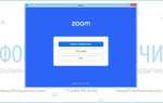 Как войти в программу zoom