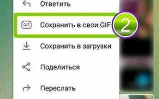 Куда сохраняются gif из telegram на android