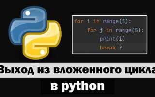 Как выйти из while true python