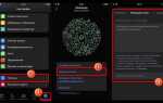 Почему контакт пропал из whatsapp