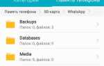 Где папка whatsapp на андроид