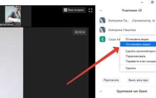 Как понять руку в zoom