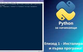 Как очистить python shell