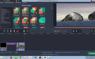 Как работать с movavi video editor