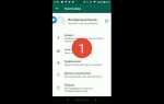 Как посмотреть старые статусы в whatsapp