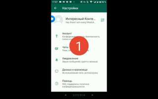 Как посмотреть старые статусы в whatsapp