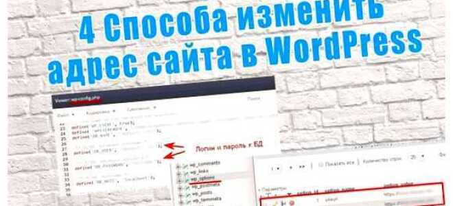 Как добавить js в wordpress