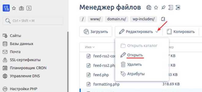 Как добавить javascript в wordpress