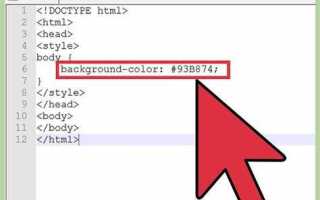 Как изменить цвет input css