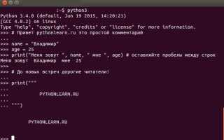 Как ввести текст в python