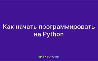Как написать торгового робота на python
