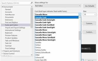 Как добавить шрифт в visual studio