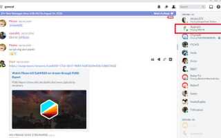 Как сделать кастомную игру в discord