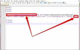 Как сохранить картинку в html