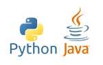 Какой язык лучше java или python