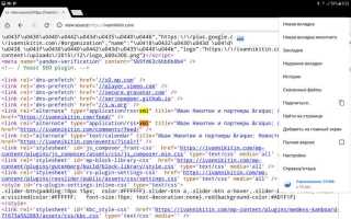 Как проверить код html
