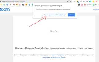 Как проверить звук в zoom автоматическая ссылка