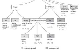 Как задать тип данных python