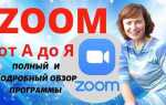 В чем преимущества zoom перед другими средствами