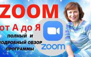 В чем преимущества zoom перед другими средствами