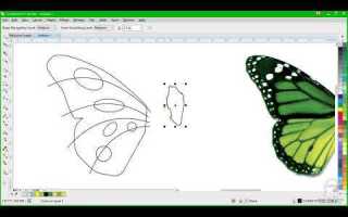 Как создать логотип в coreldraw