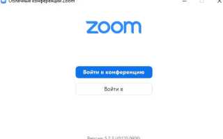 Как загрузить zoom на макбуке
