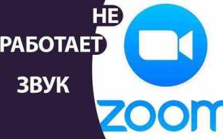 Как работать на zoom на ноутбуке учителю