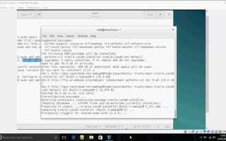 Как установить java на debian