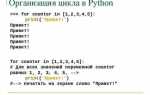 Как определить итерацию цикла python