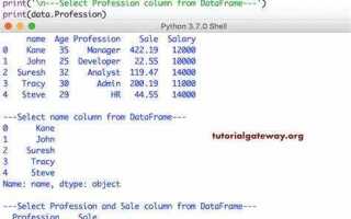 Как удалить столбец в dataframe python