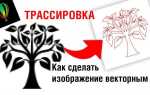 Как трассировать изображение в coreldraw