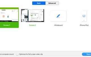 Как расшарить экран в zoom на macbook