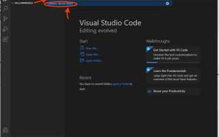 Почему не отображается код в visual studio