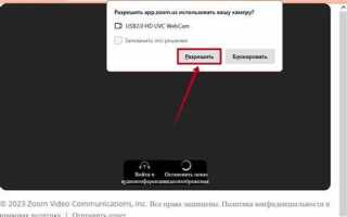 Как включить две камеры в zoom