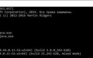 Как запустить консоль java