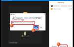 Как отключить звук микрофона в zoom